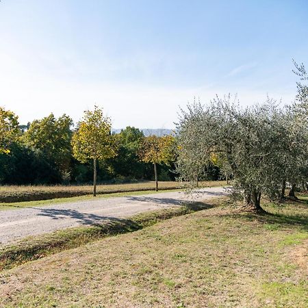 Affittacamere San Carlo a La Molinella Città della Pieve Esterno foto