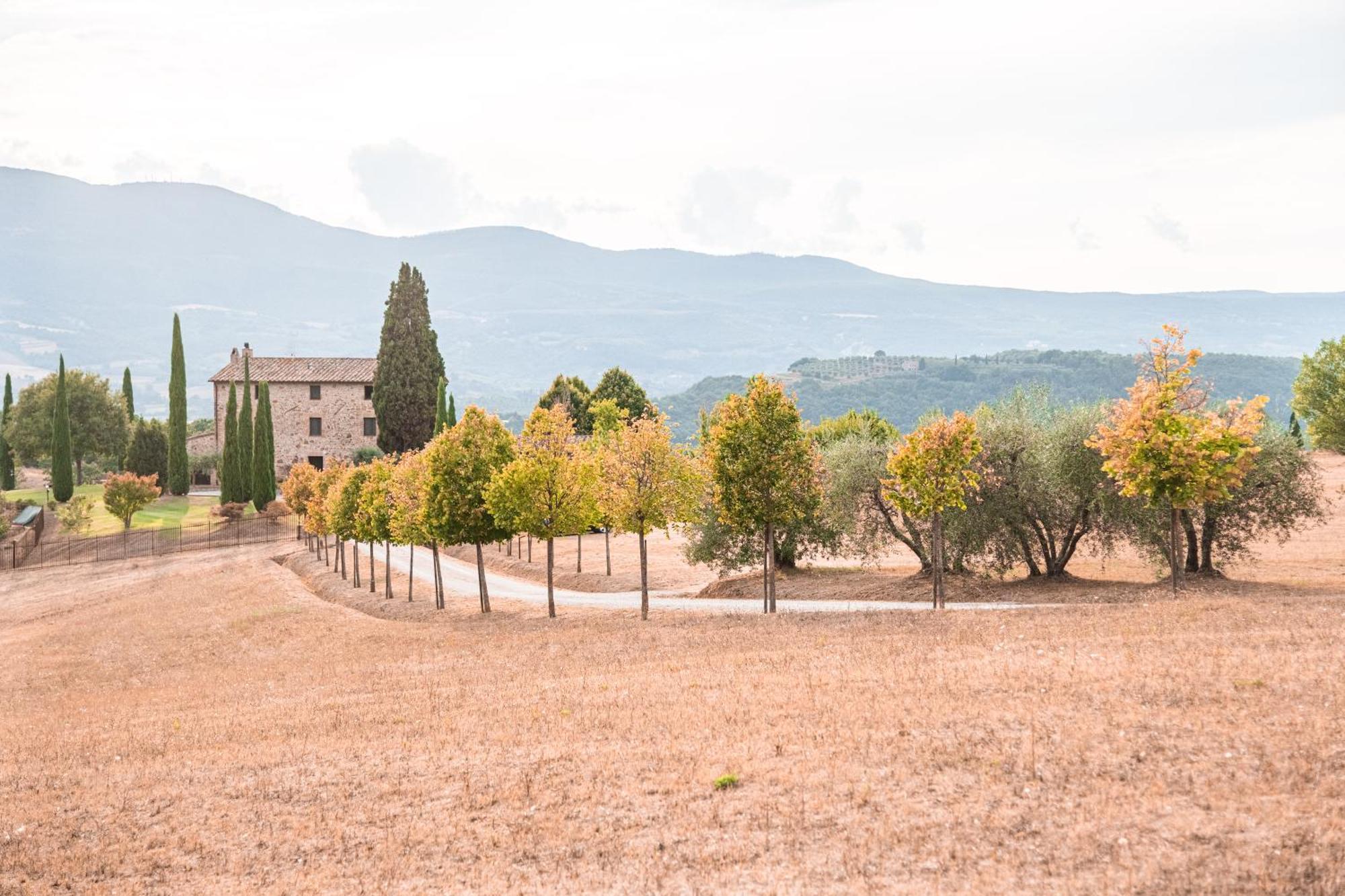 Affittacamere San Carlo a La Molinella Città della Pieve Esterno foto