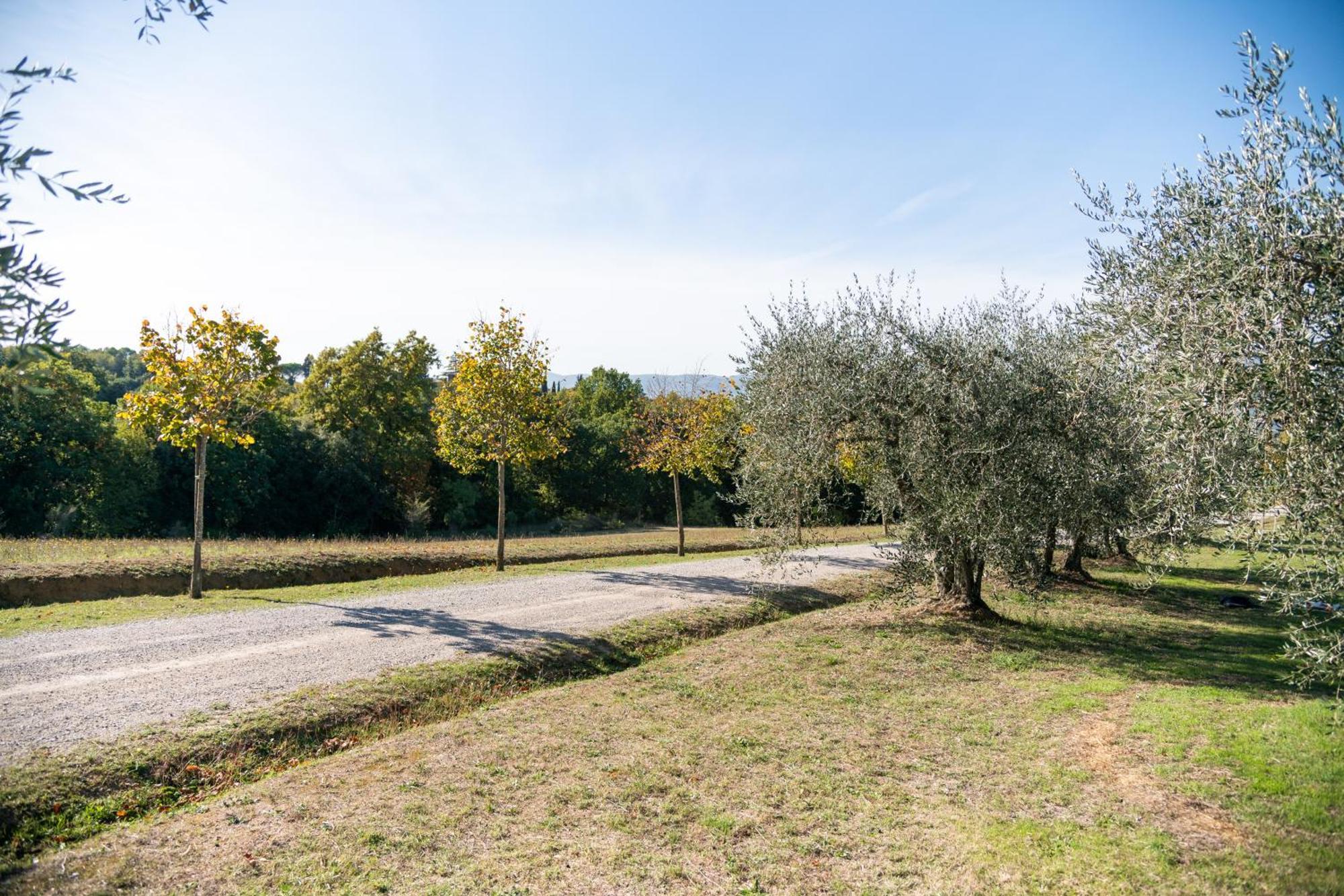 Affittacamere San Carlo a La Molinella Città della Pieve Esterno foto
